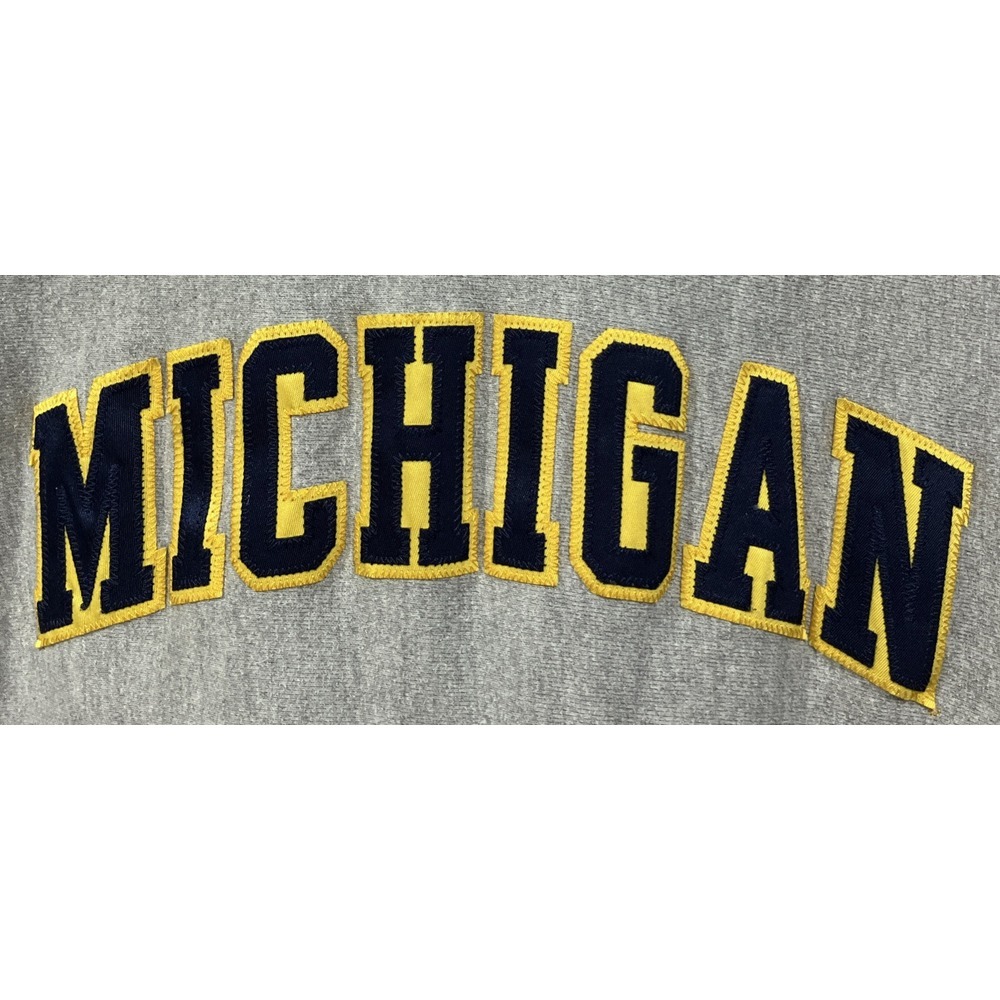 Champion Reverse Weave MICHIGAN Hoodie Medium Embroidered Patch Logo Y2K Gray - Picture 2 of 8